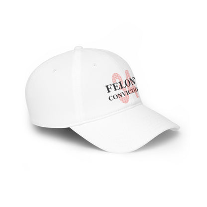 34 Felony Convictions | Low Profile Baseball Cap