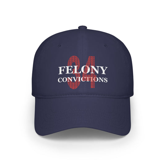 34 Felony Convictions | Low Profile Baseball Cap