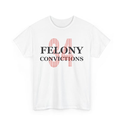 34 Felony Conviction | Anti Trump Unisex Heavy Cotton Tee